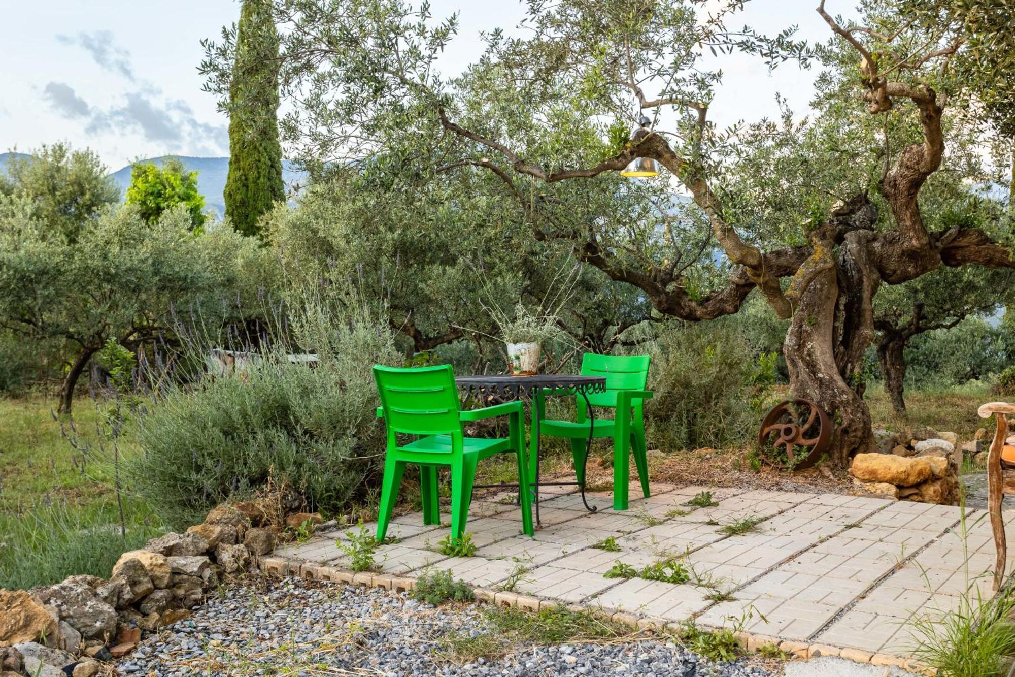 Olive Garden - Tranquil Outdoor Dining Area Apartment