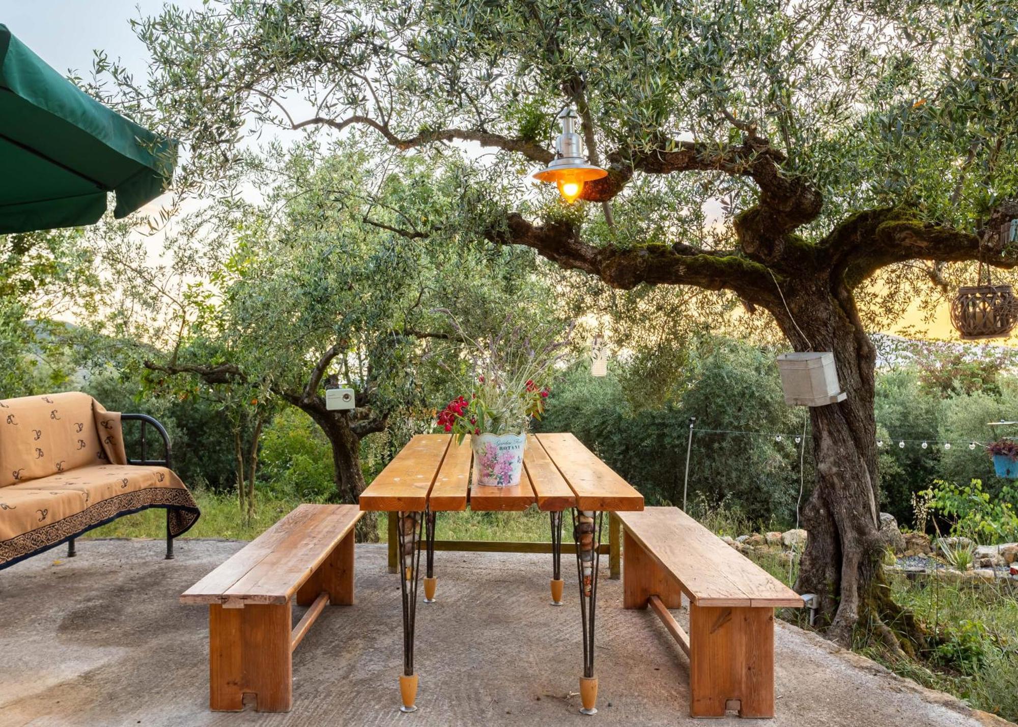 Olive Garden - Tranquil Outdoor Dining Area Apartment Doloi
